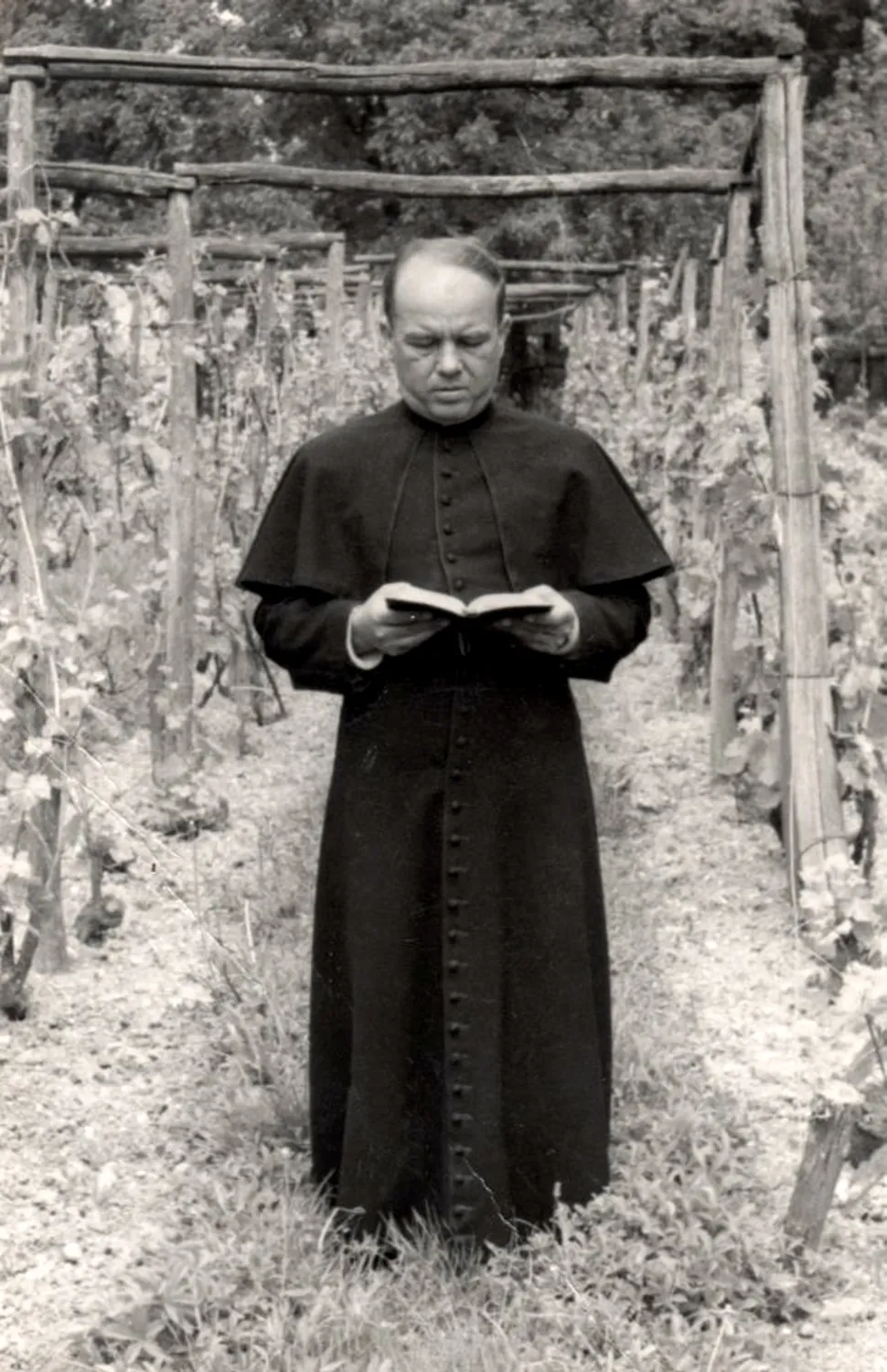 Master file0000054042