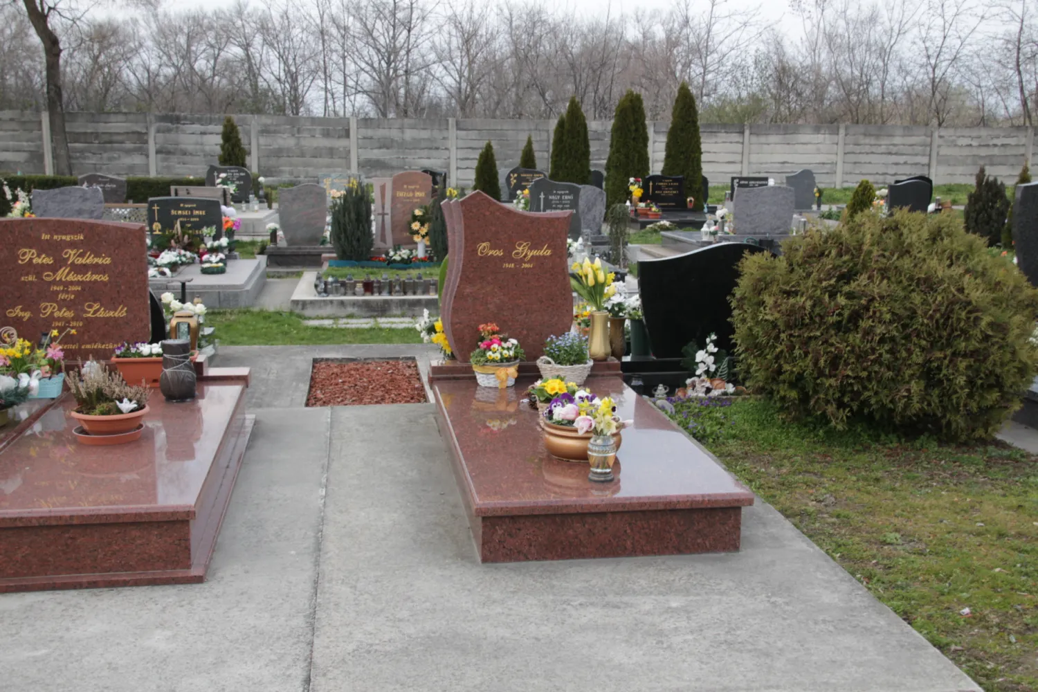 Master file0000064365