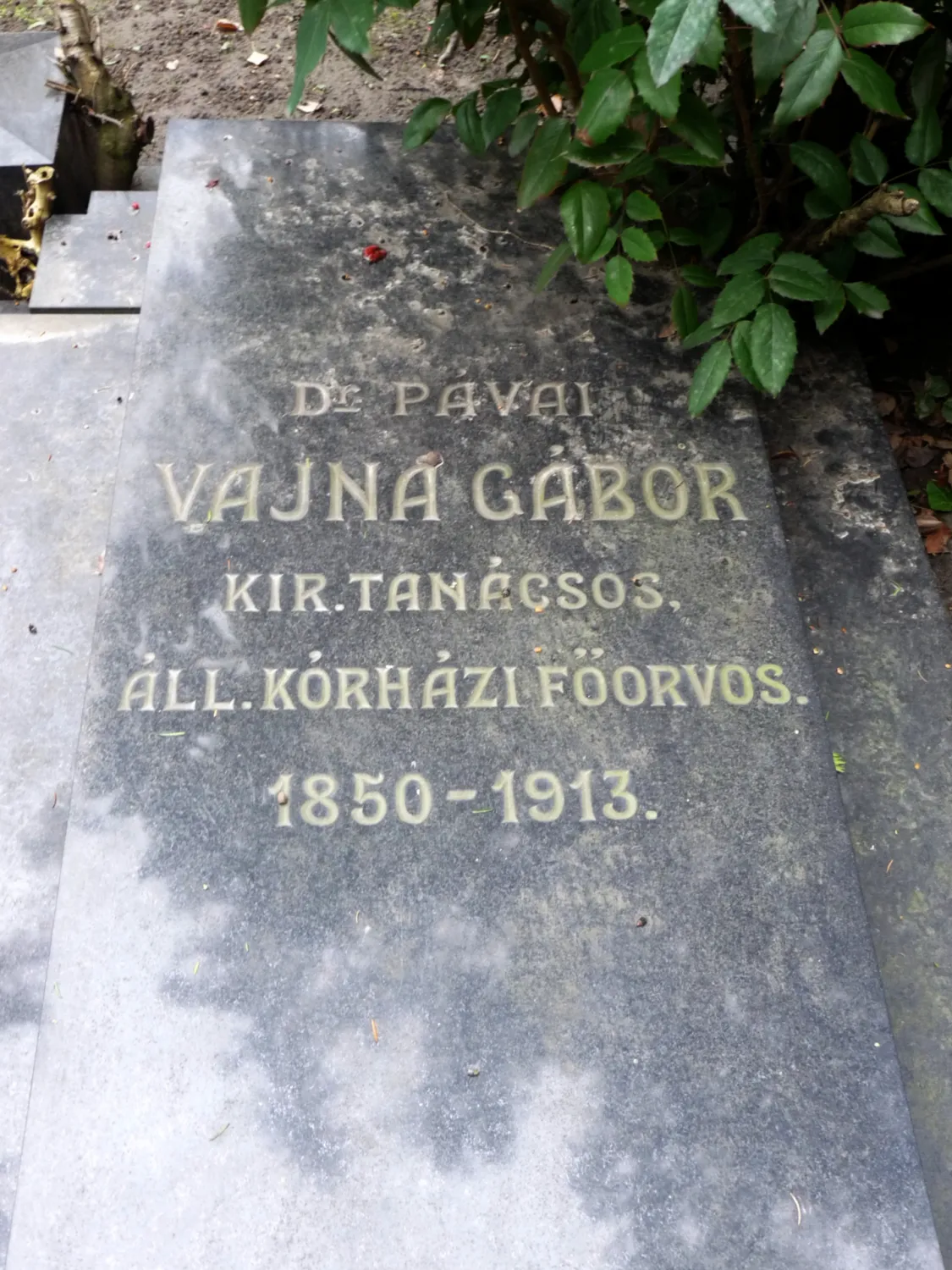 Master file0000061331