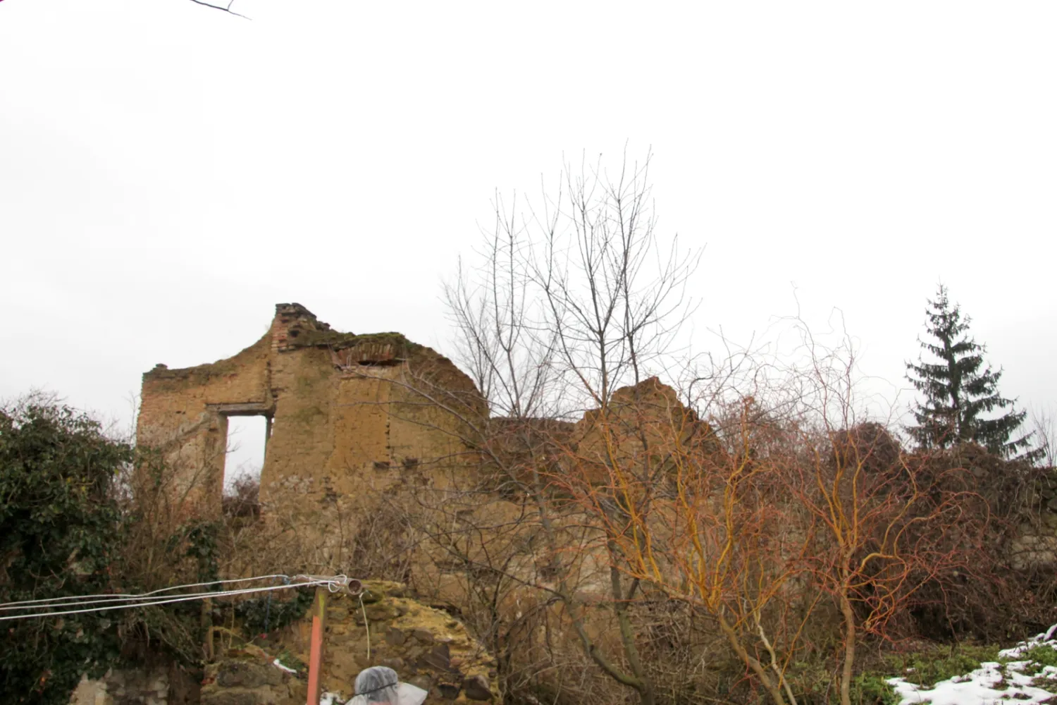 Master file0000060666