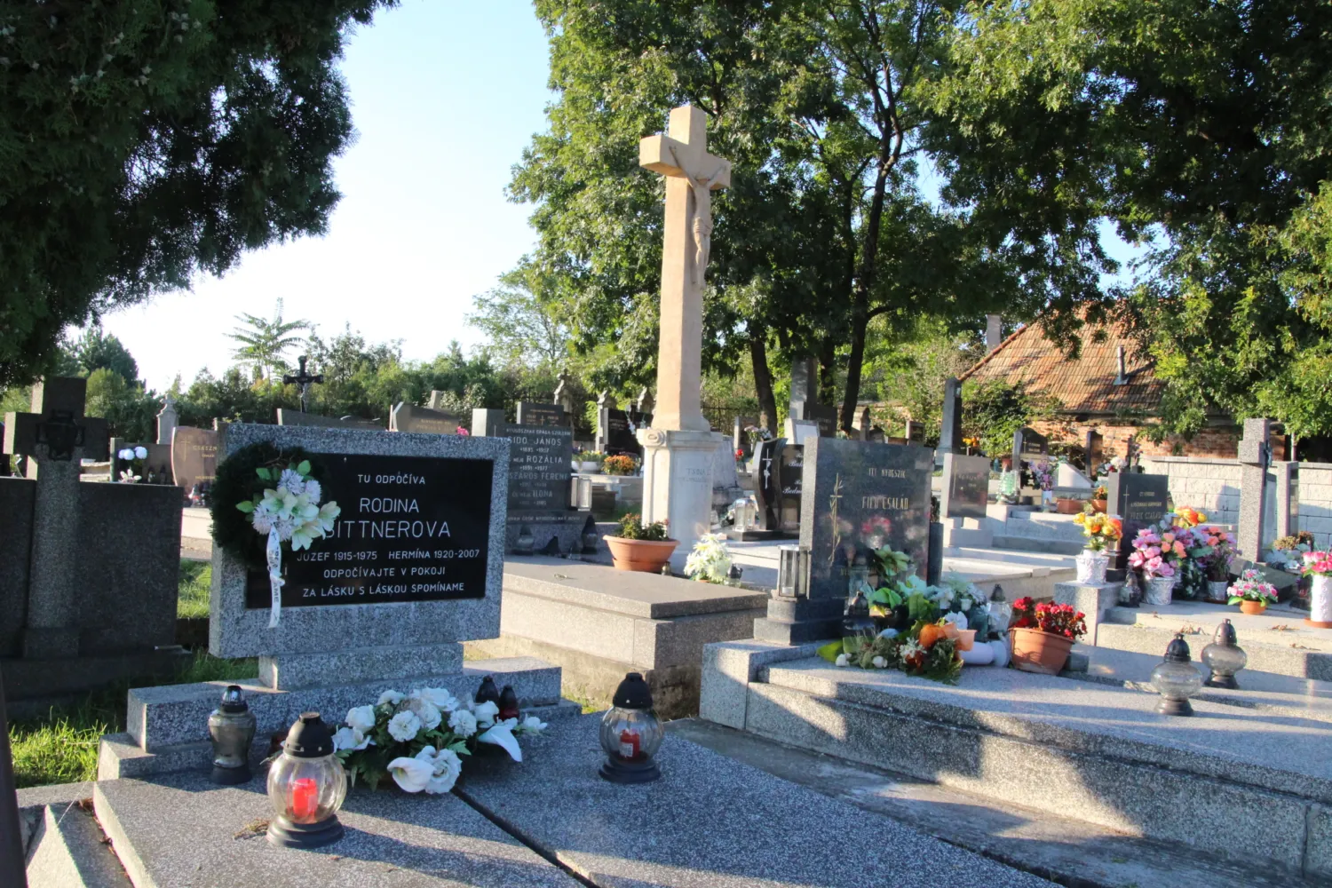 Master file0000064319