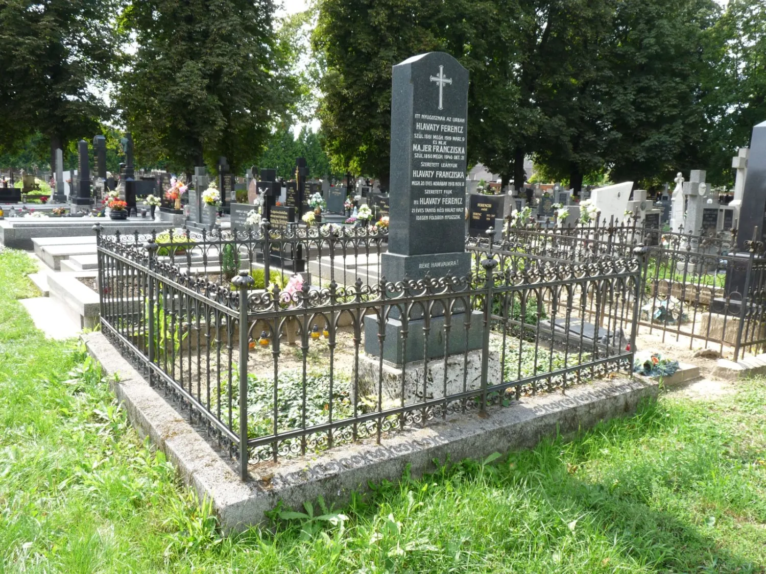 Master file0000064620