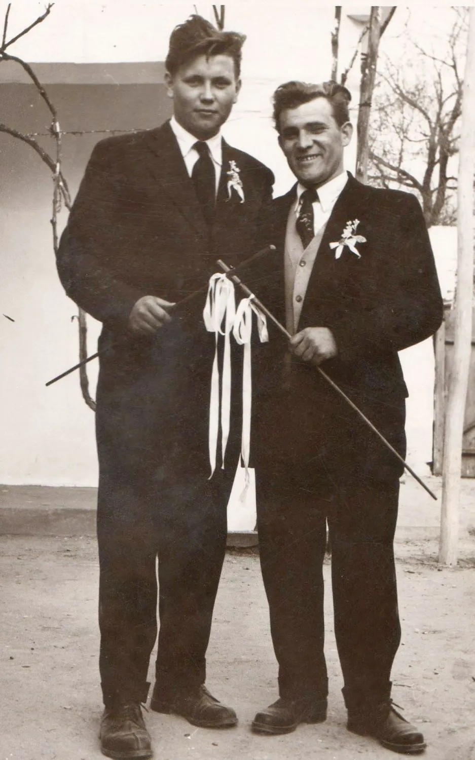 Master file0000055443