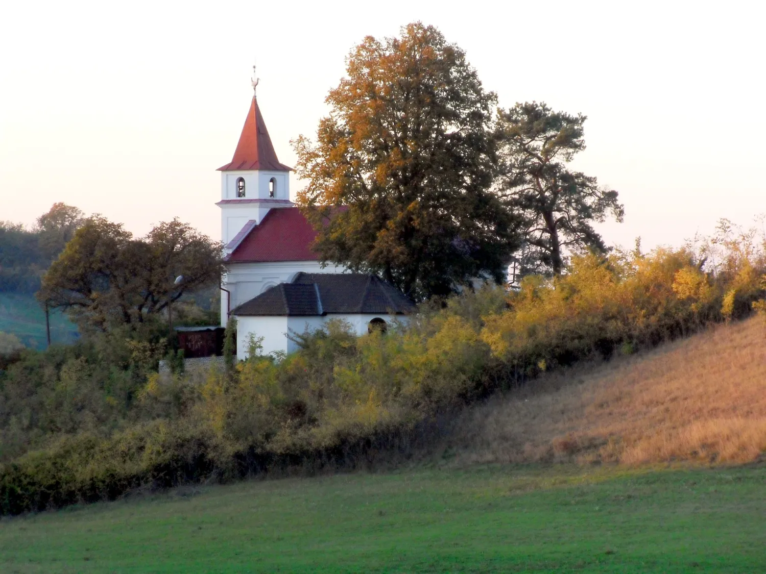 Master file0000075243