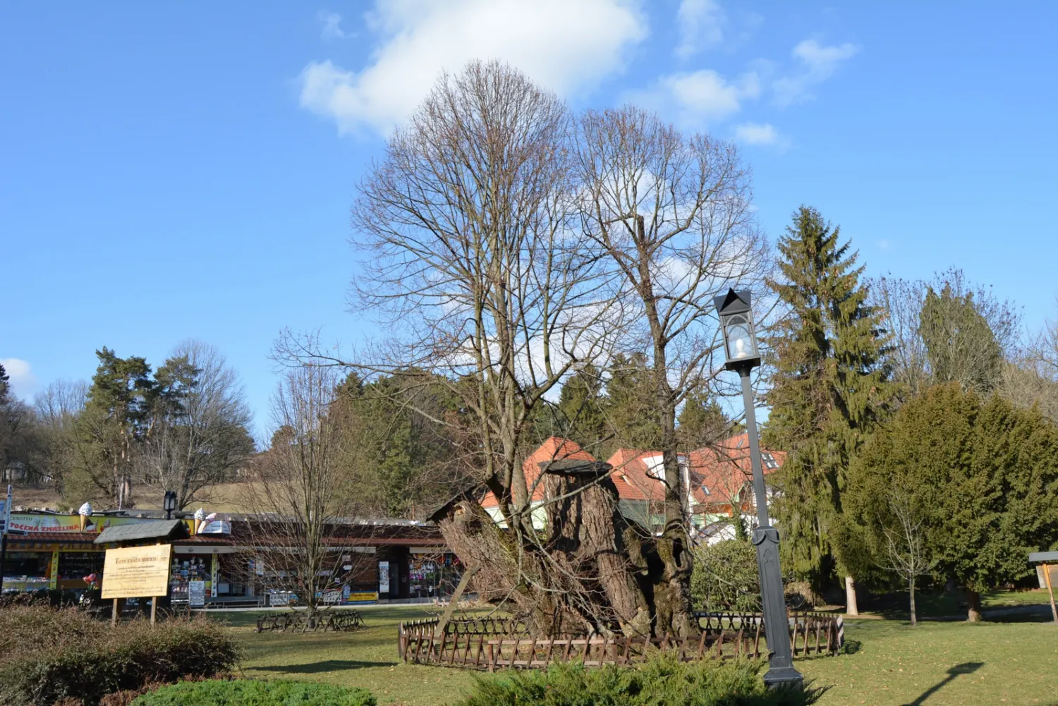 Master file0000058613