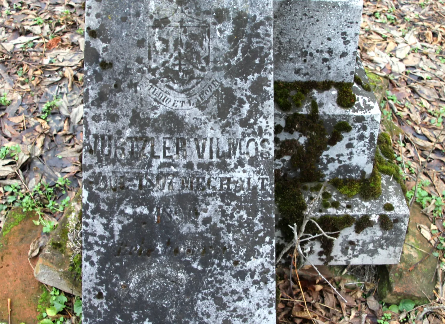 Master file0000062936