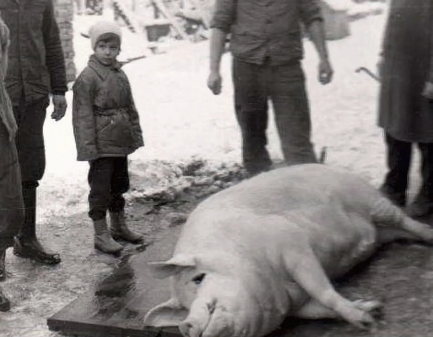 Master file0000055420