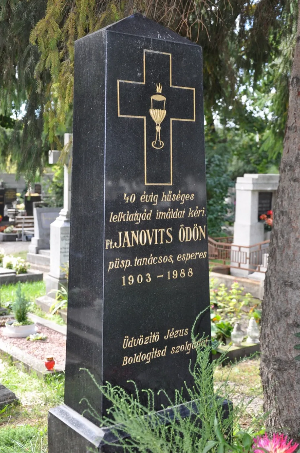 Master file0000078145