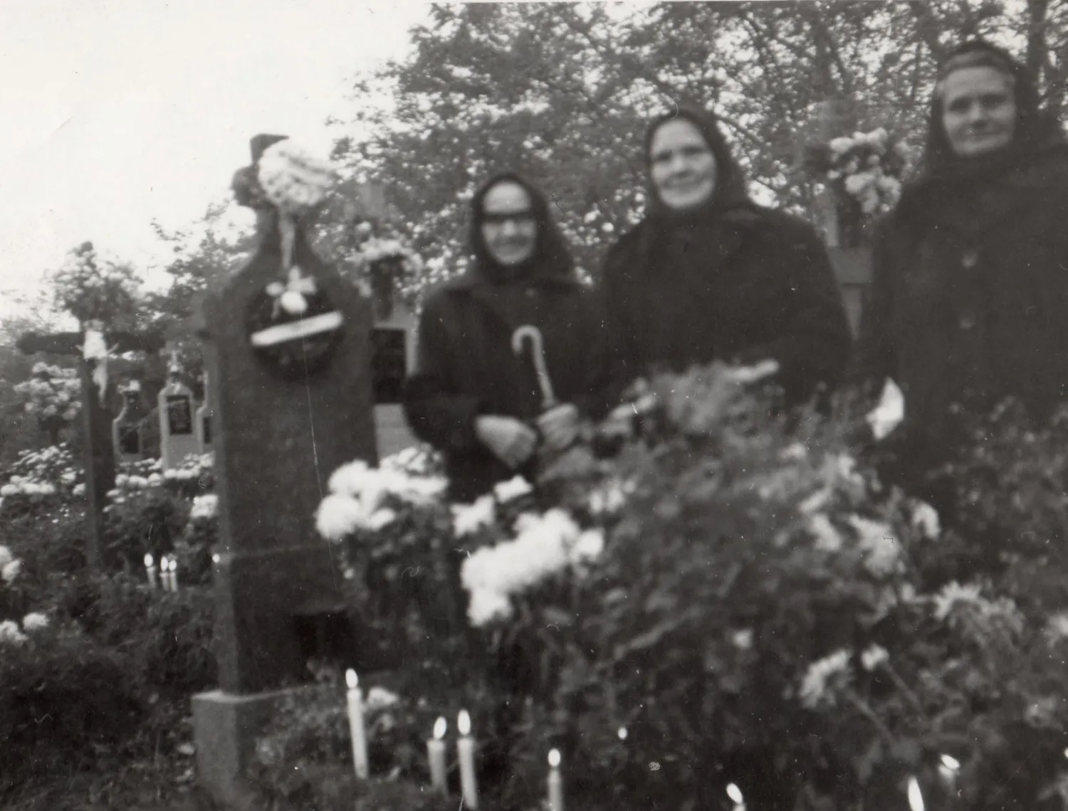 Master file0000054053