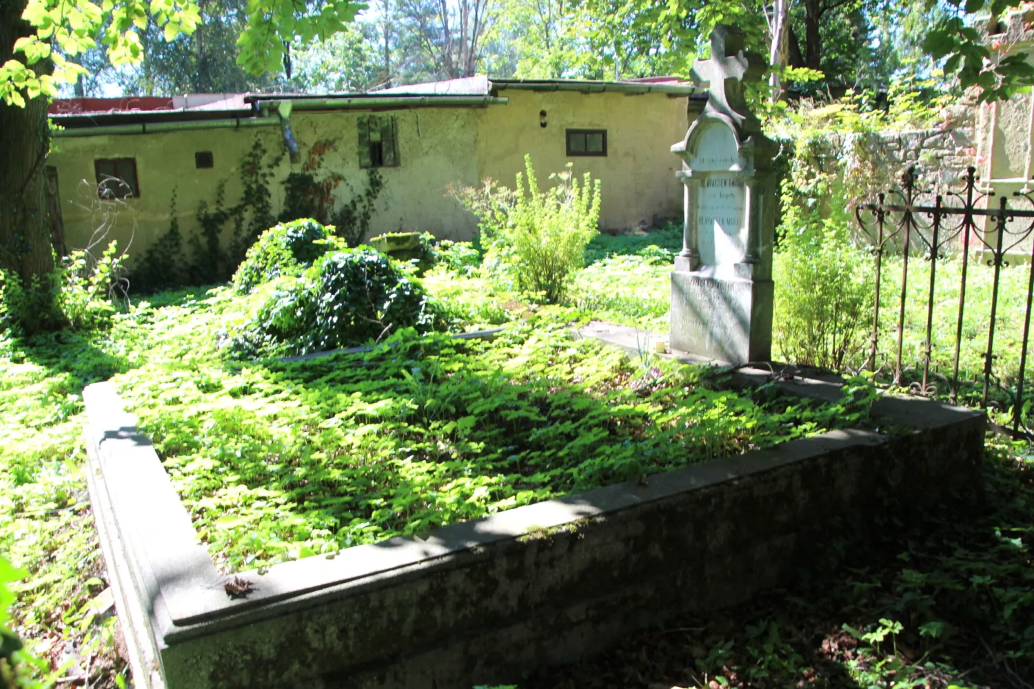 Master file0000065419