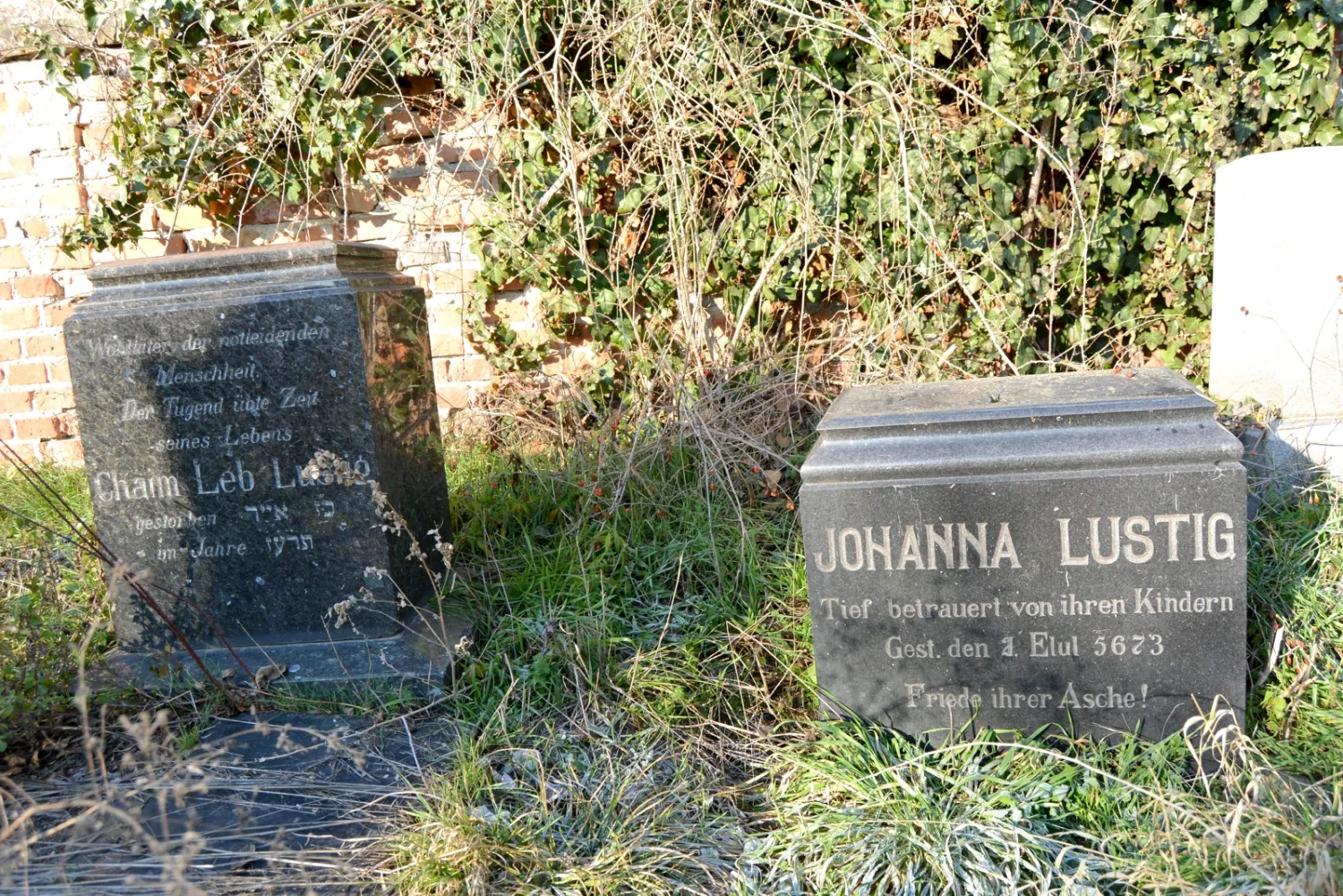 Master file0000057983