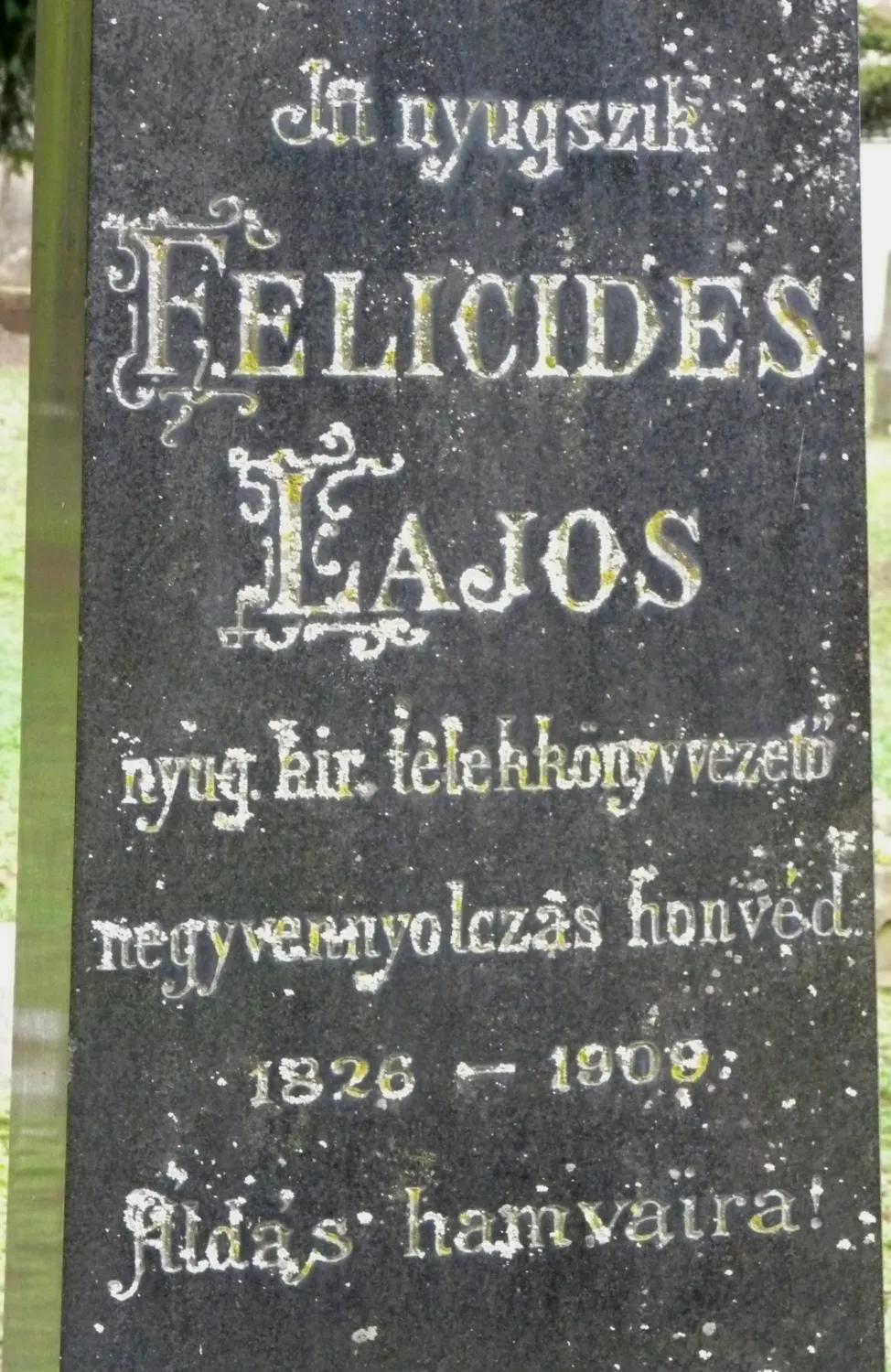 Master file0000068623