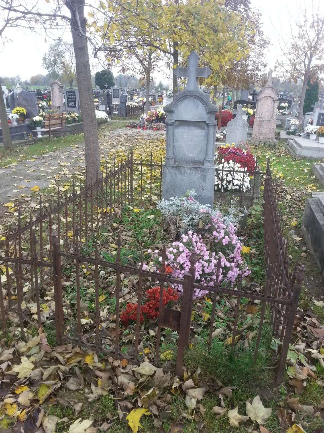 Master file0000060174