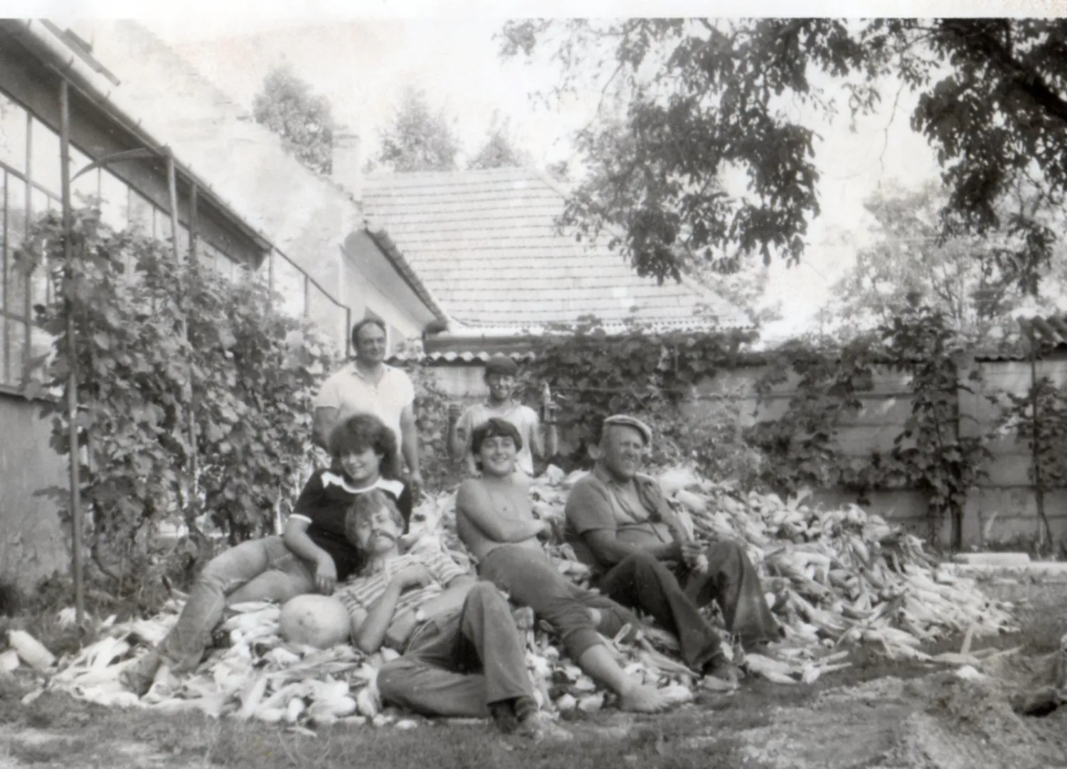 Master file0000054872