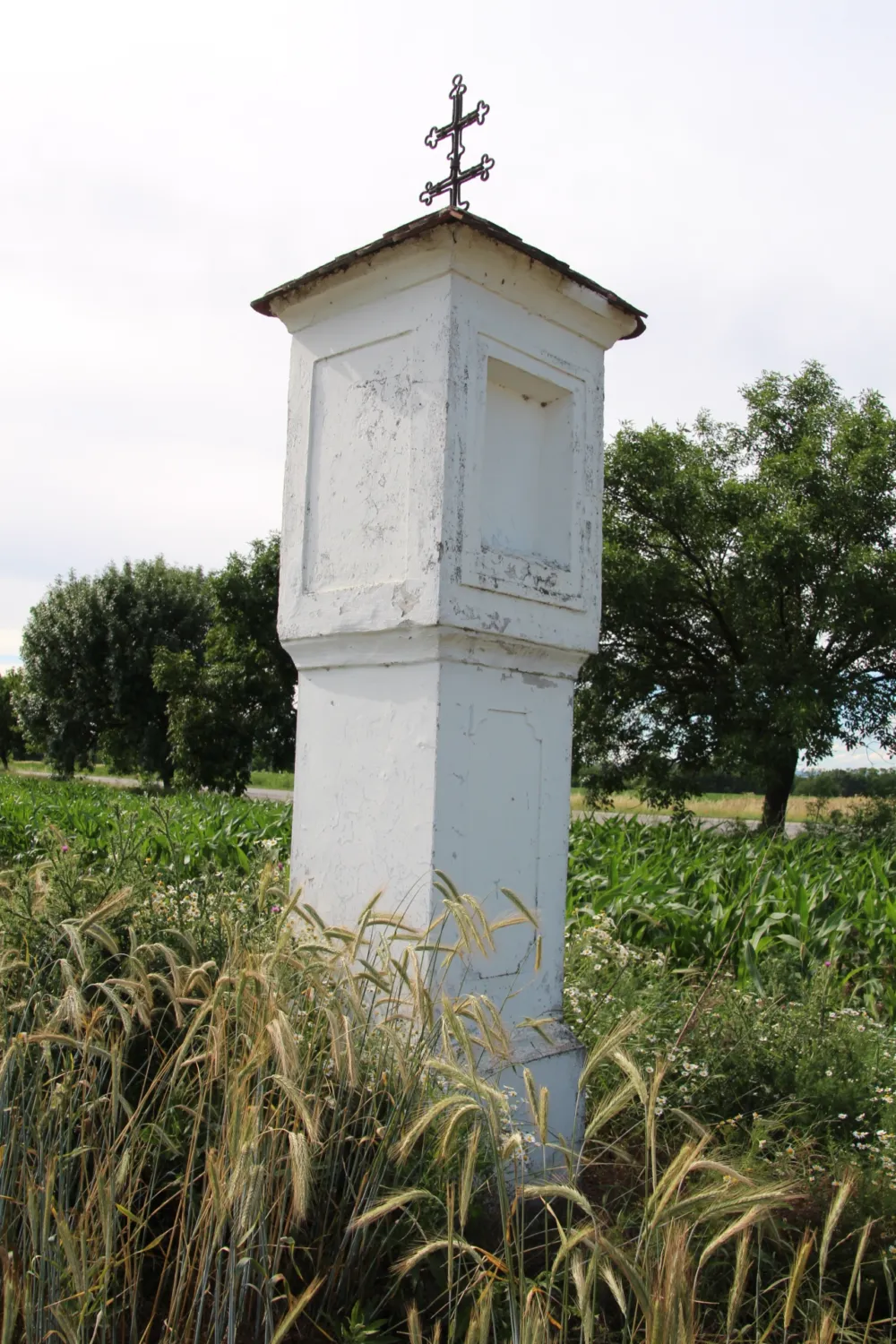 Master file0000059130