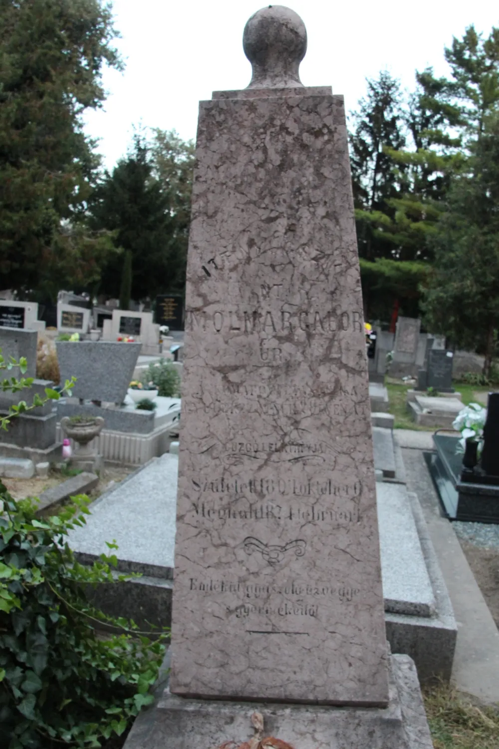 Master file0000067305