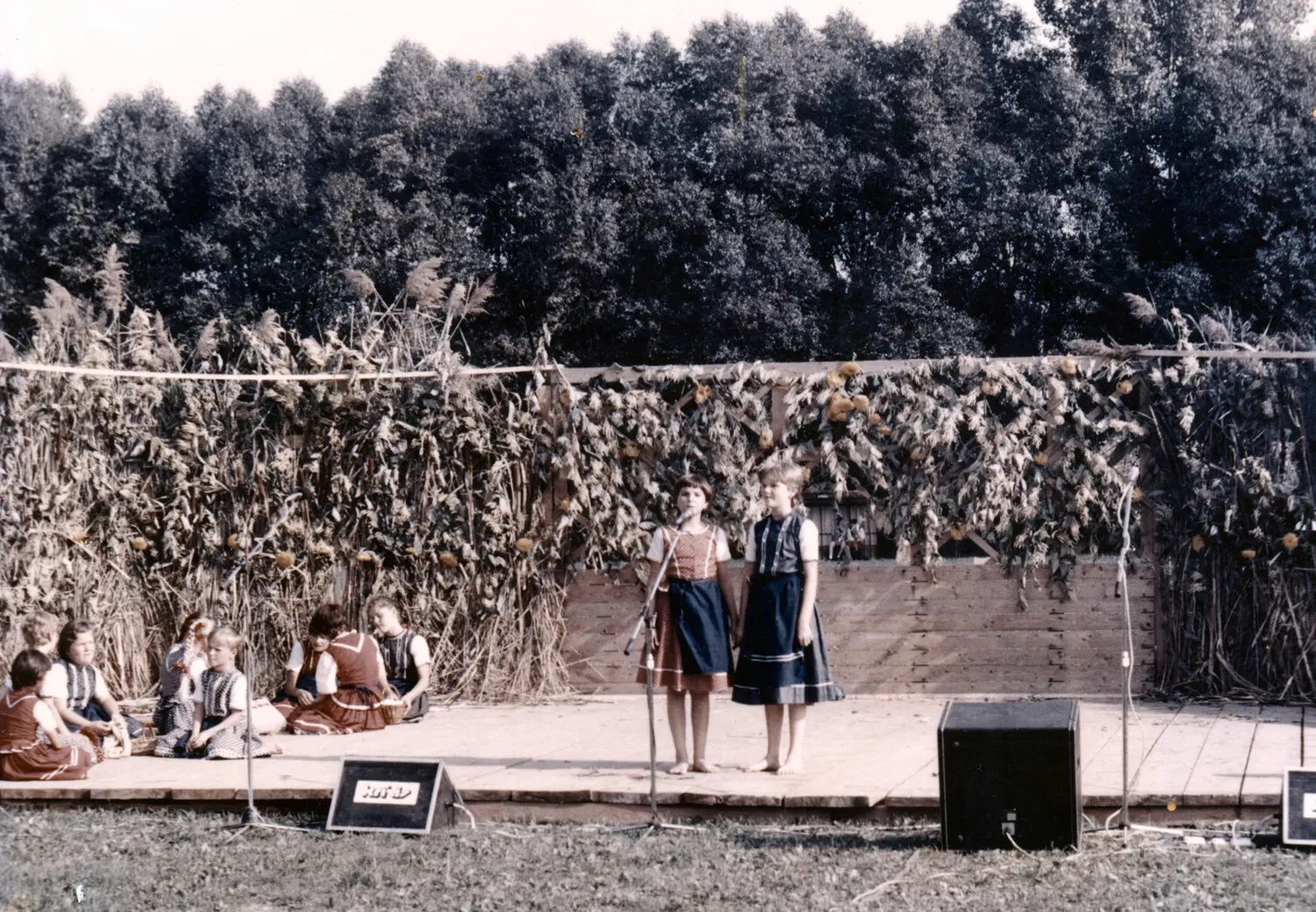 Master file0000056166