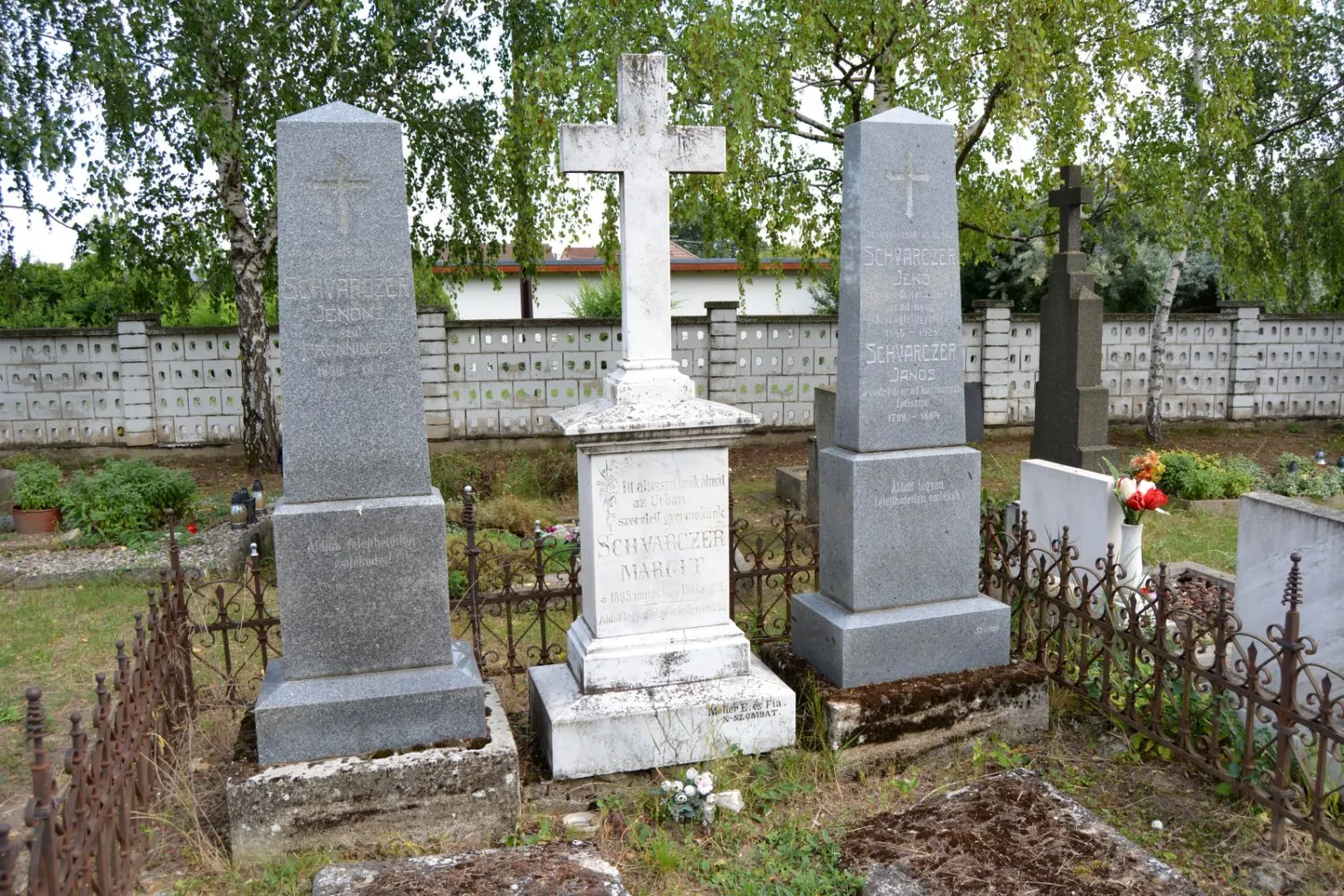 Master file0000061659