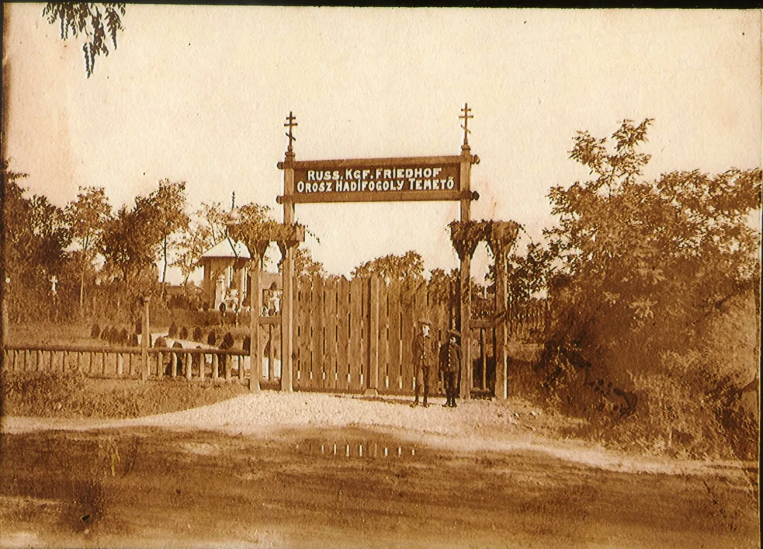 Master file0000054699