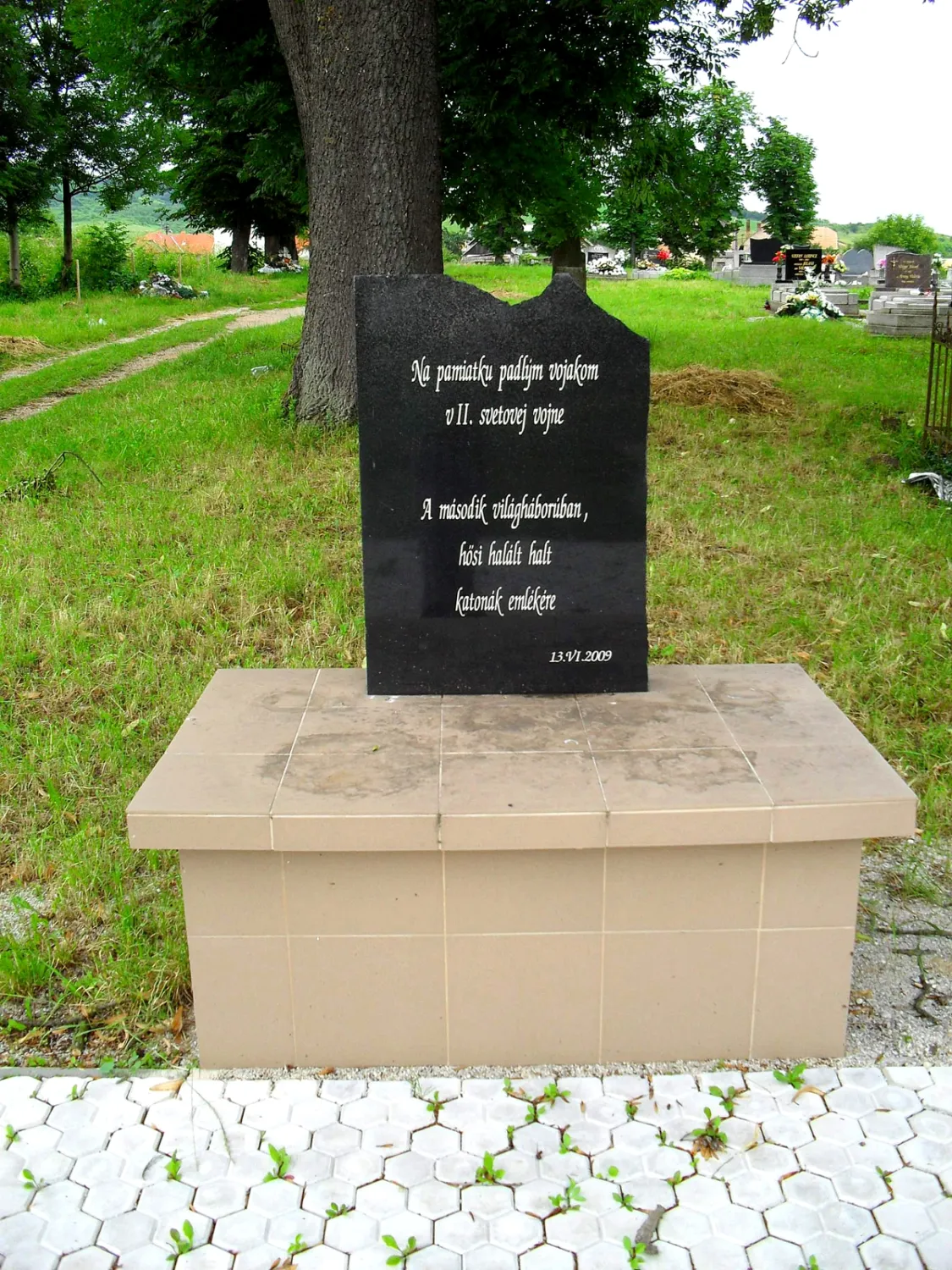 Master file0000065205