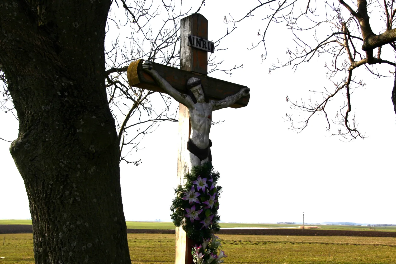 Master file0000058073