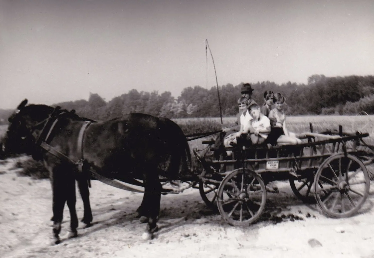 Master file0000054303