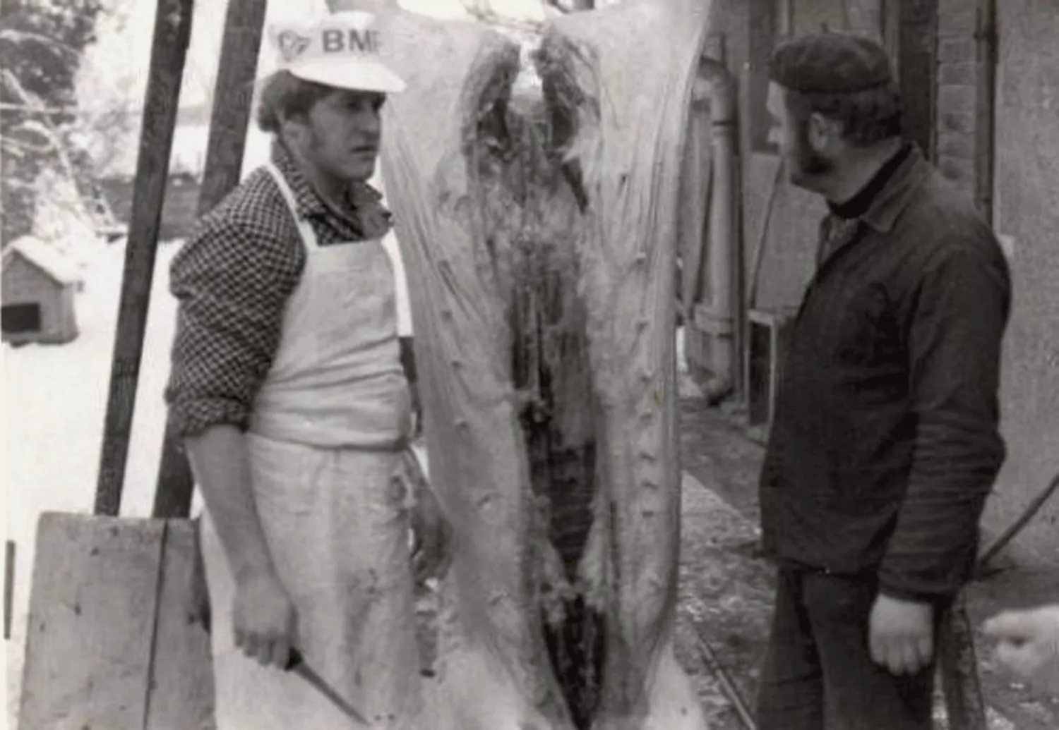 Master file0000056113