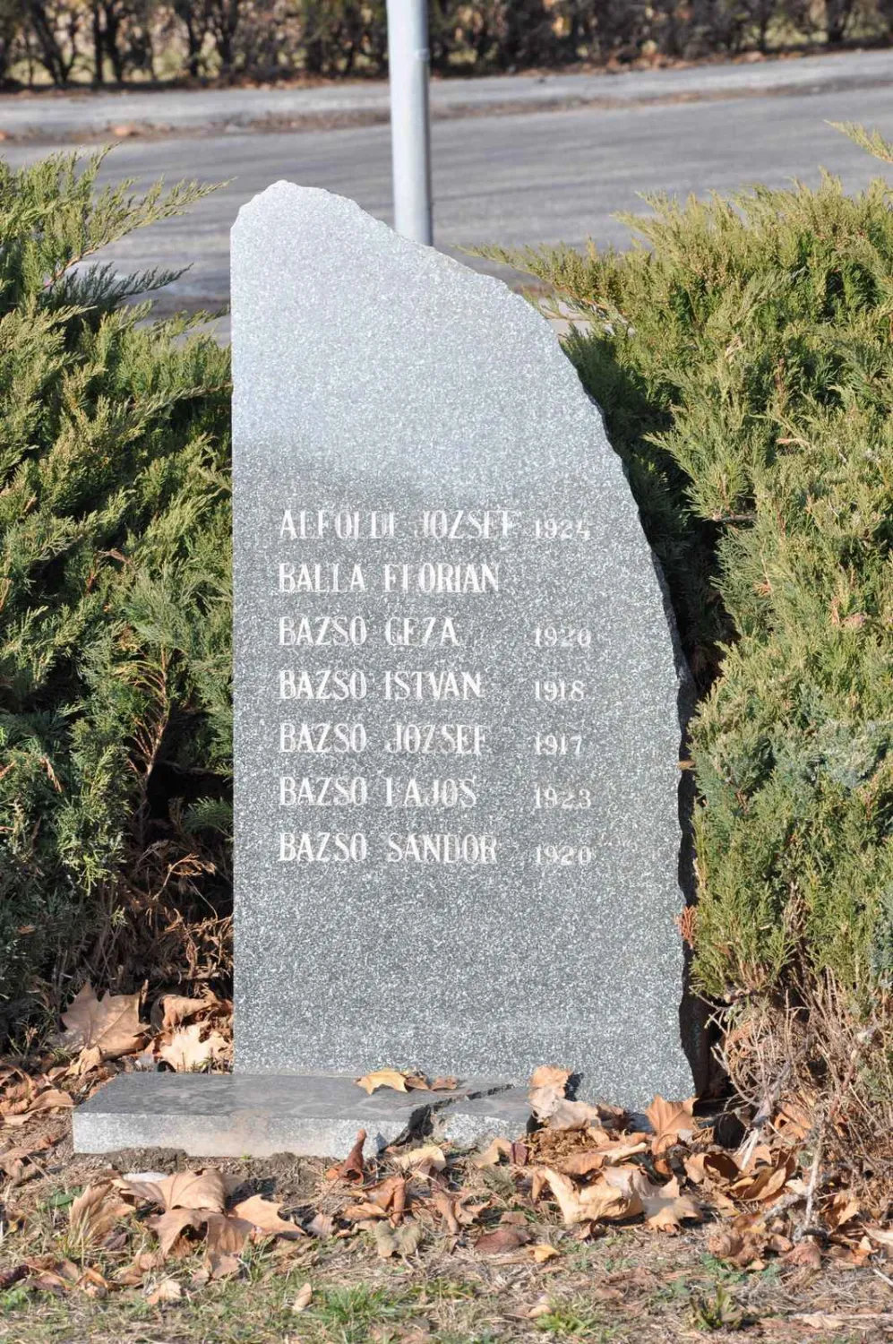 Master file0000071493