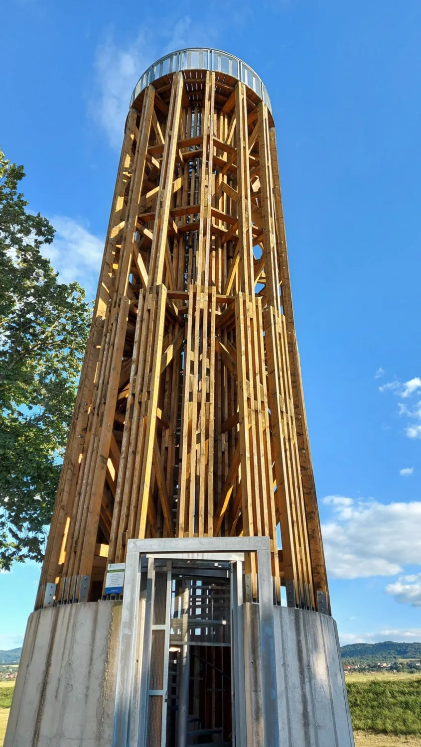 Master file0000060781