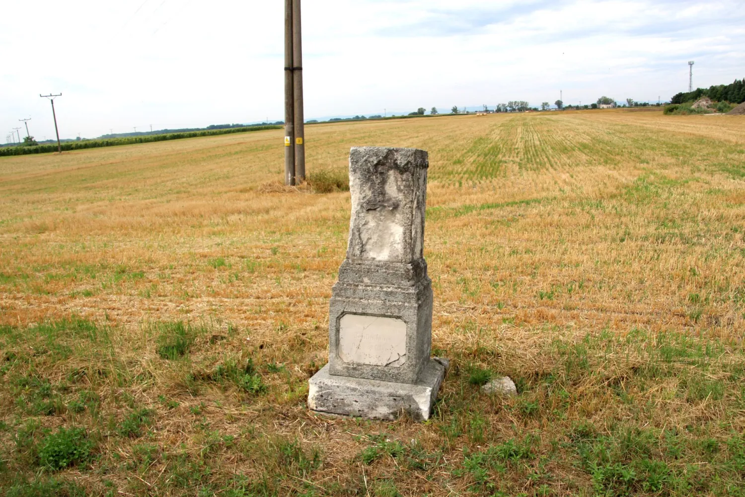 Master file0000069302