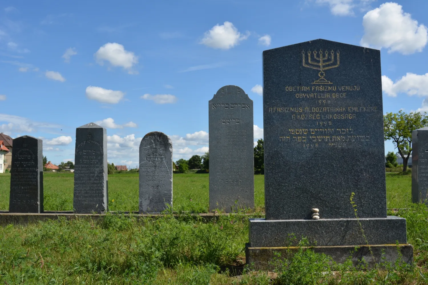 Master file0000058500