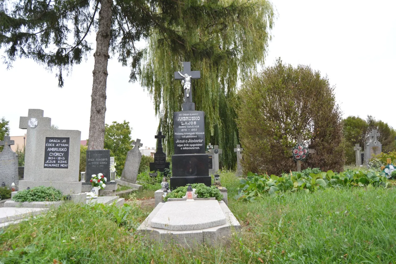 Master file0000058423