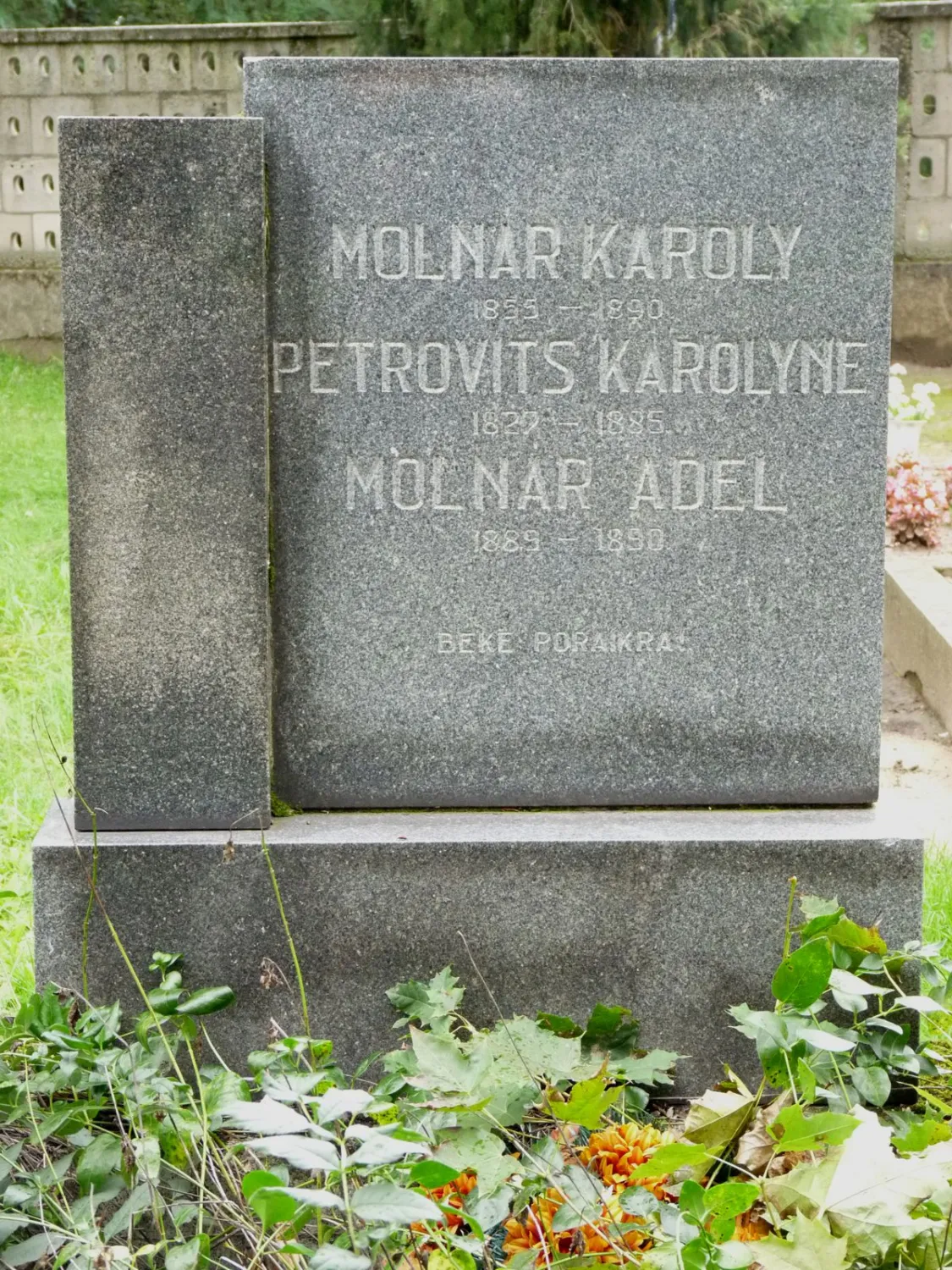 Master file0000059831