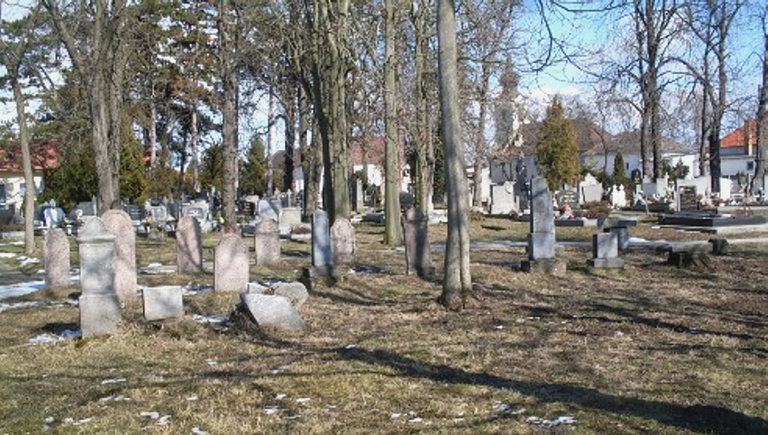 Master file0000039360