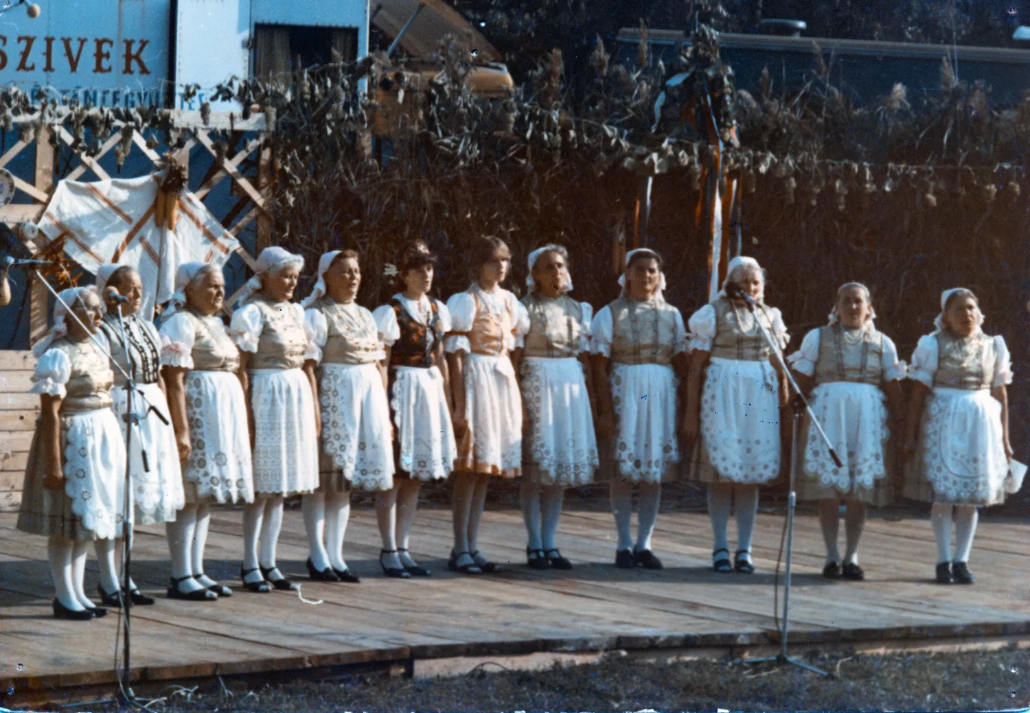 Master file0000056469