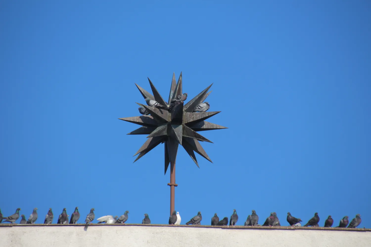 Master file0000070886