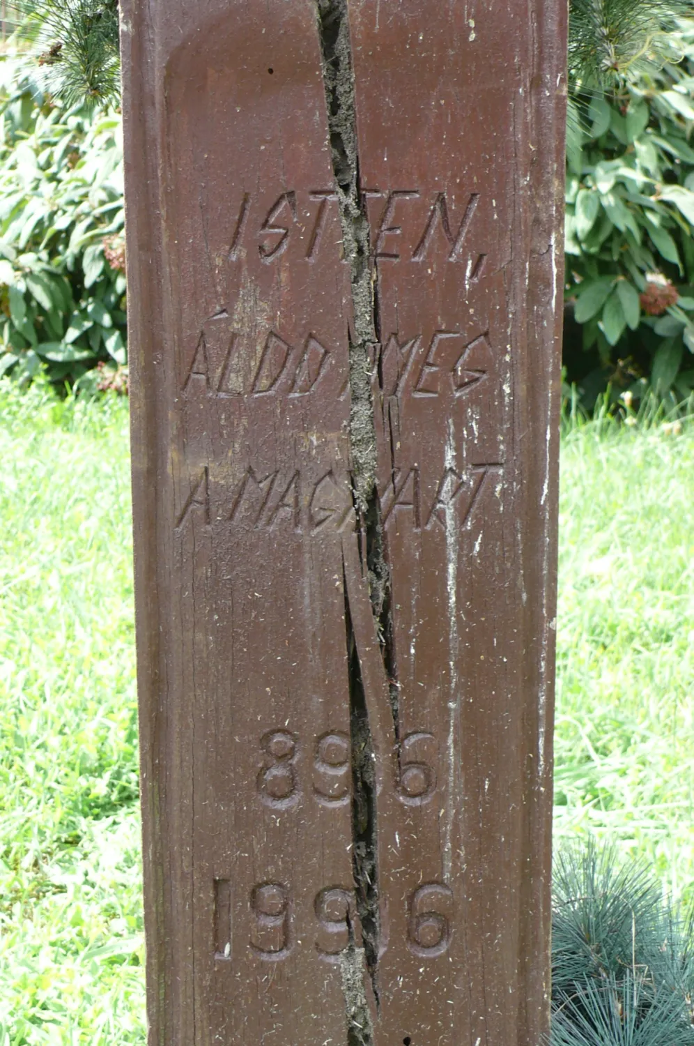 Master file0000060516