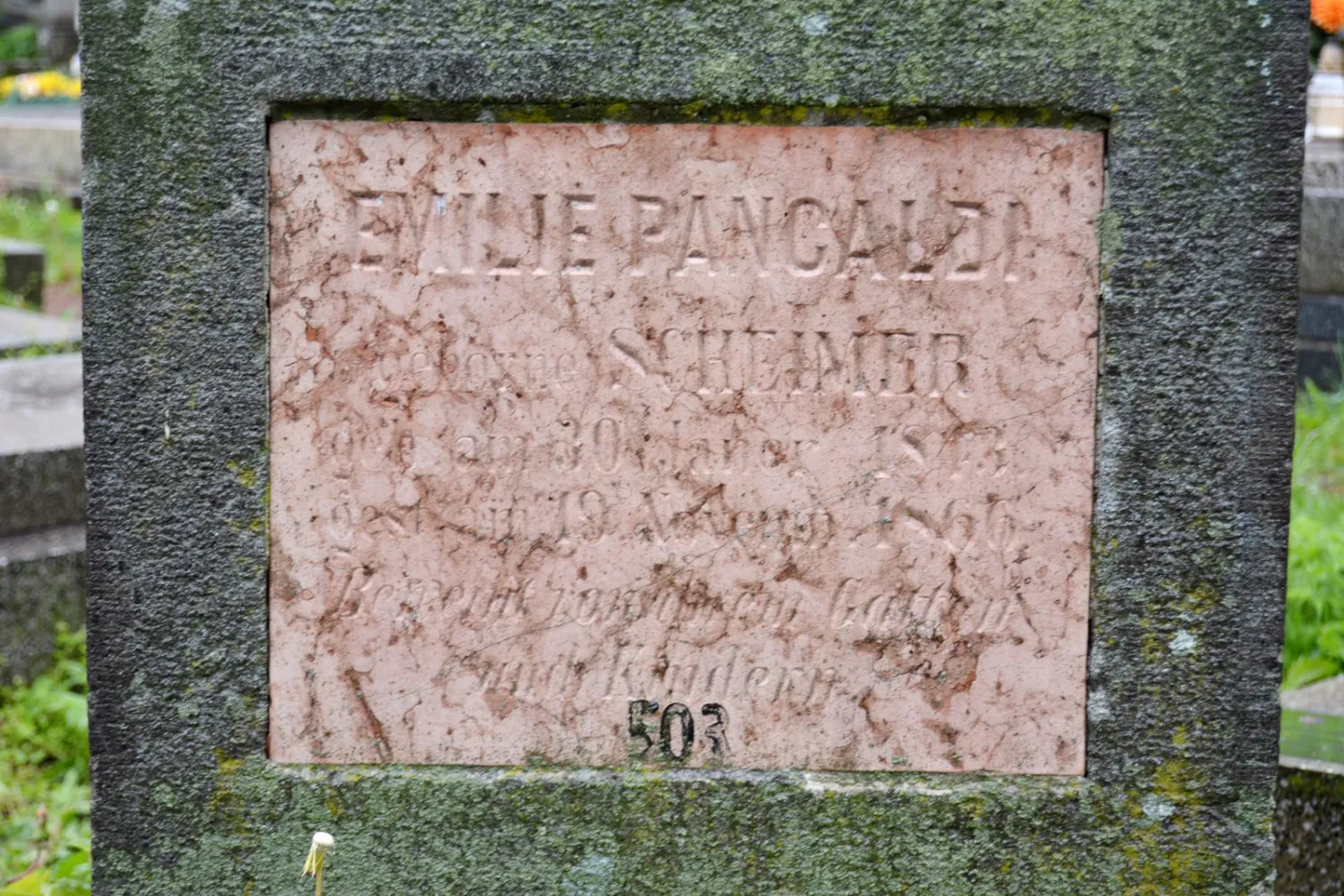 Master file0000059753