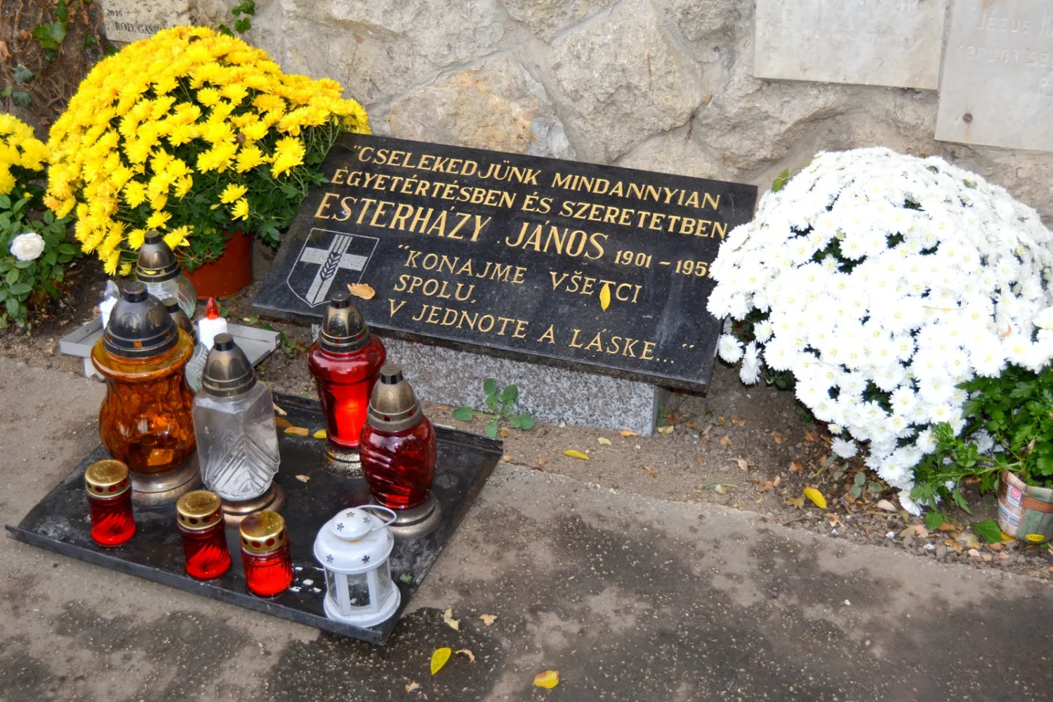 Master file0000061162