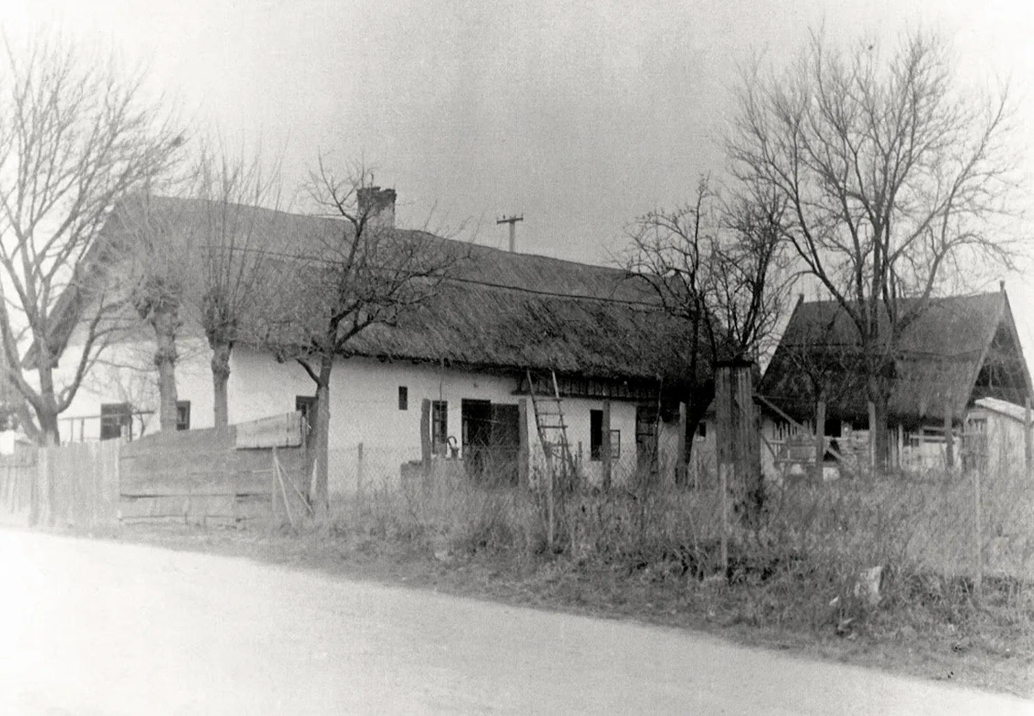 Master file0000054740