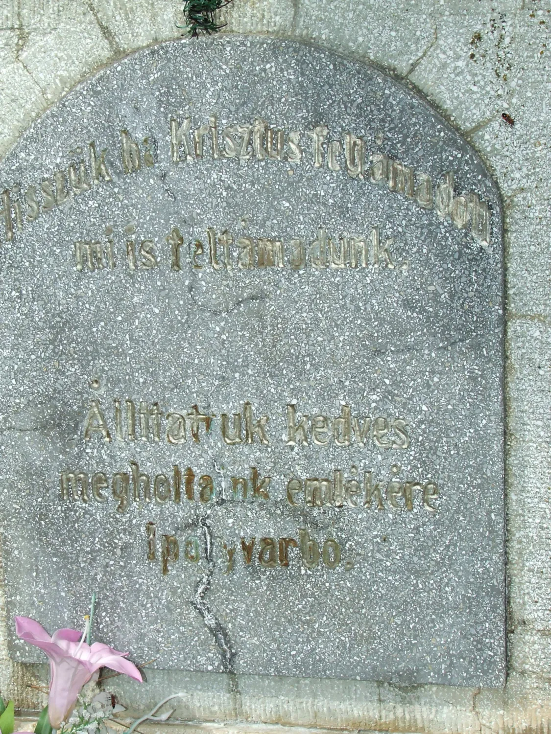 Master file0000064883