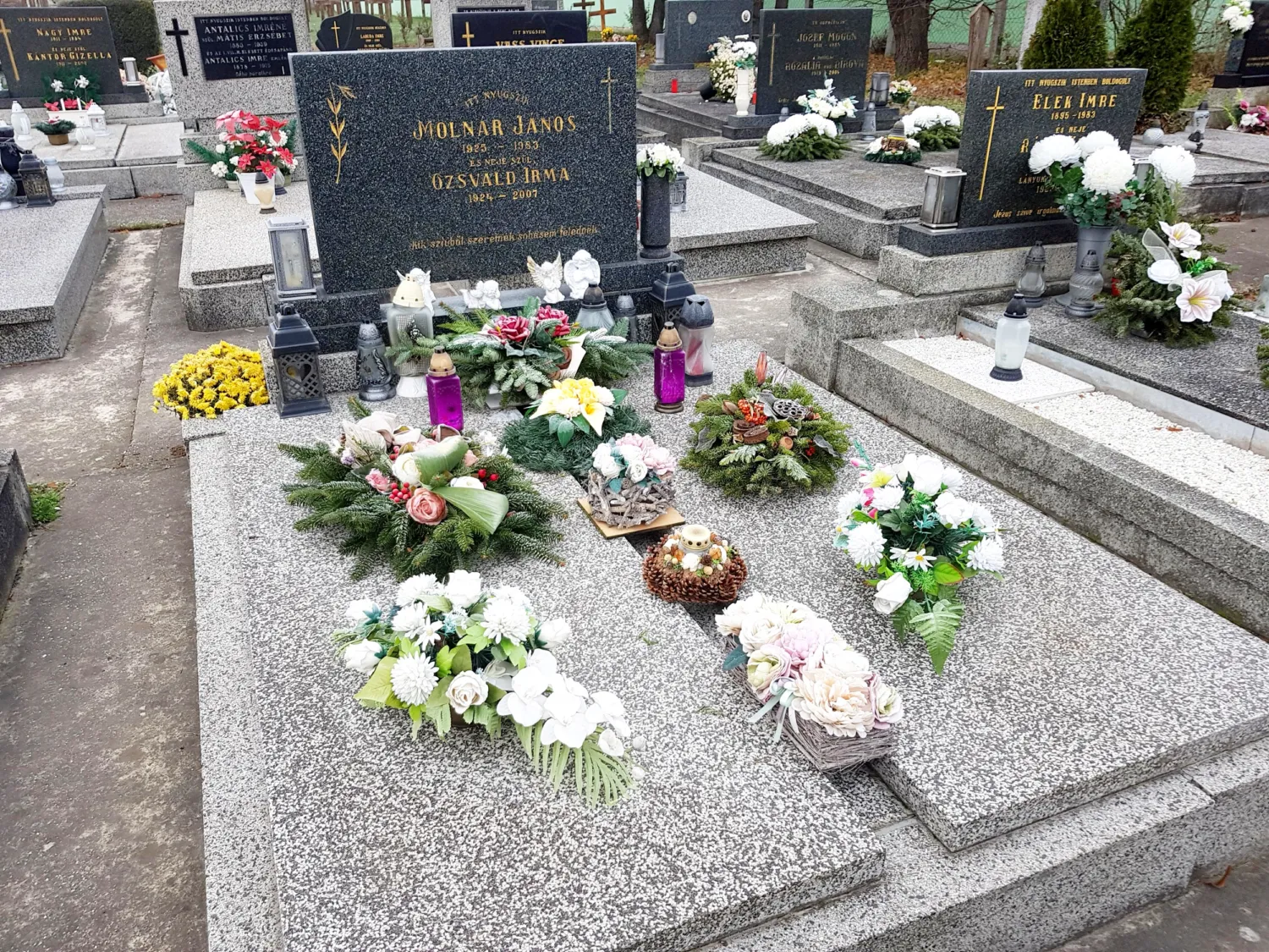 Master file0000060769