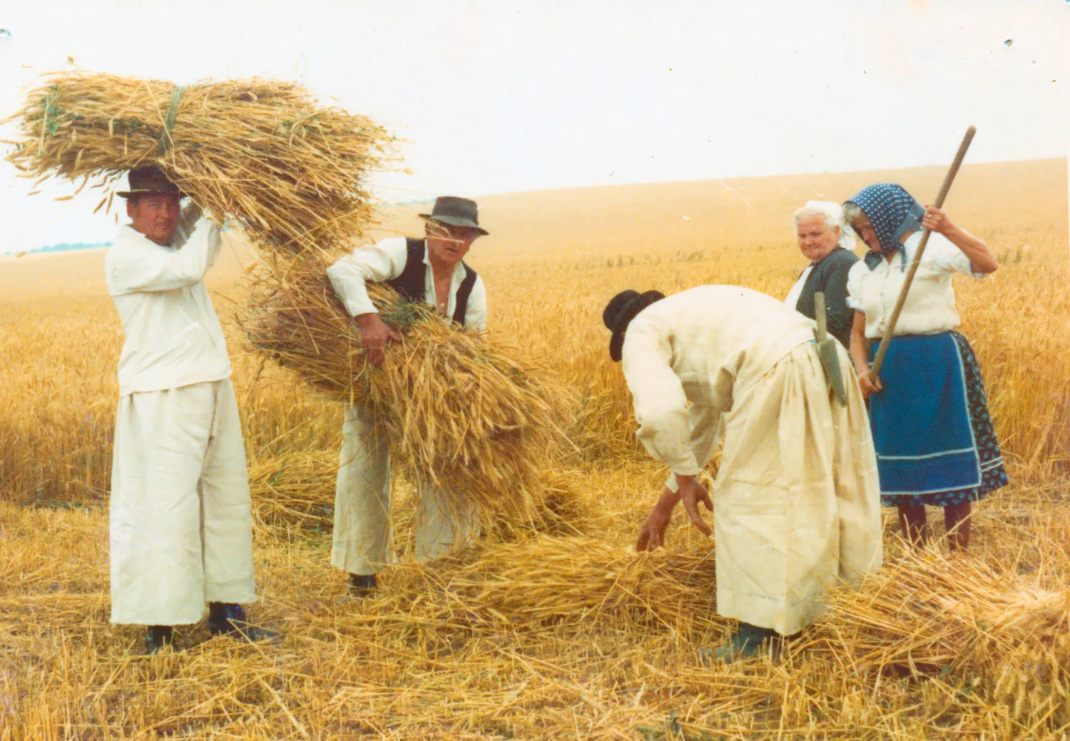 Master file0000055151