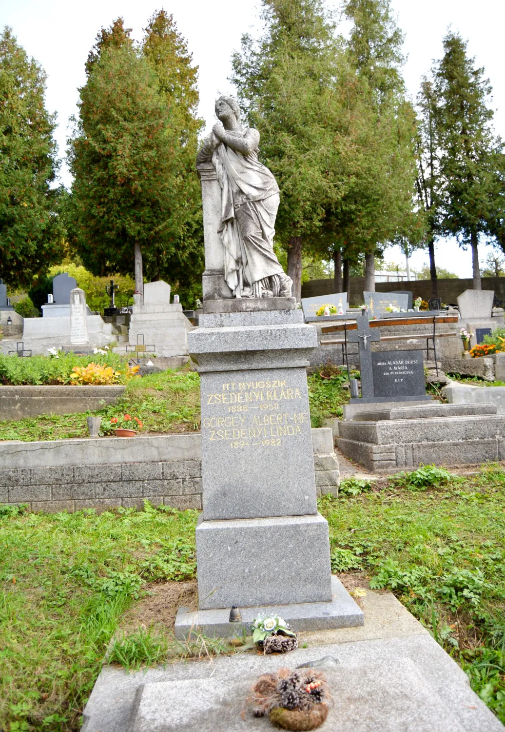 Master file0000059360