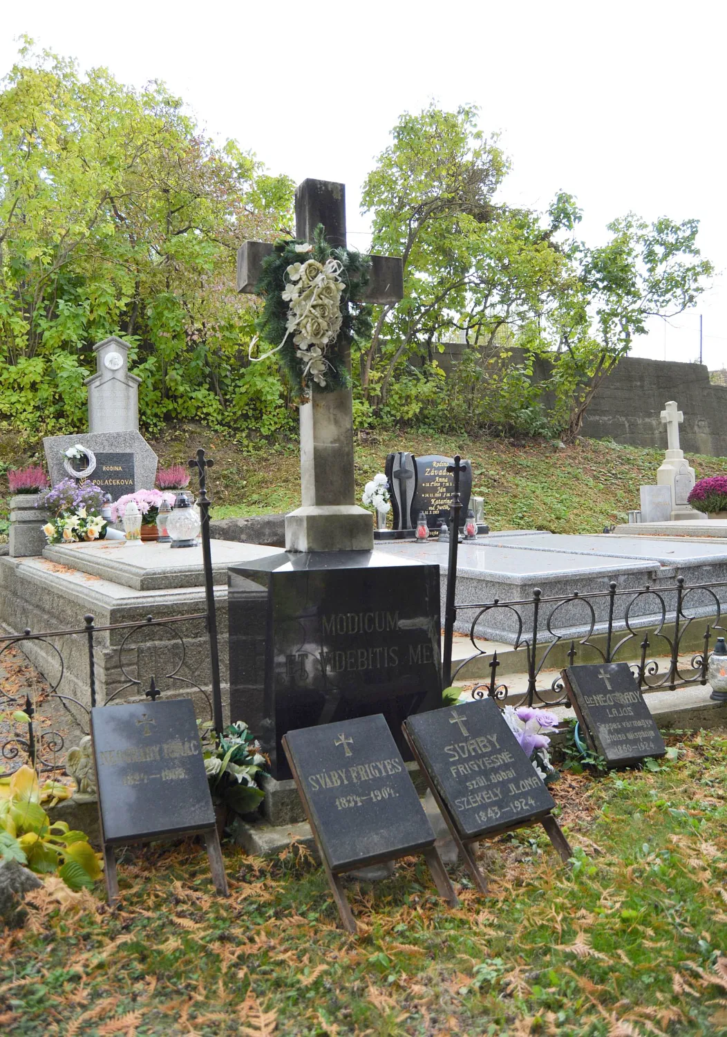 Master file0000058057