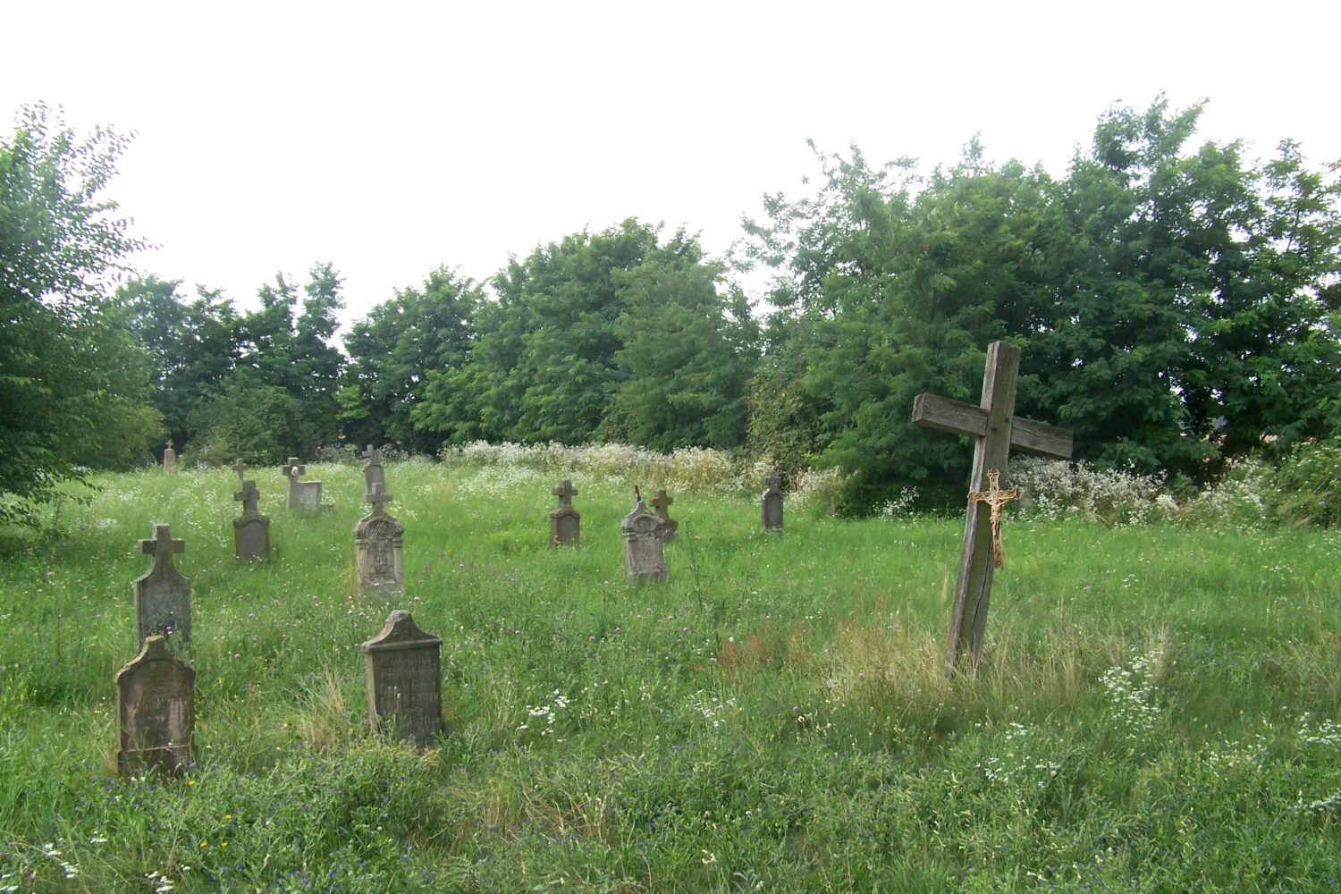 Master file0000078844