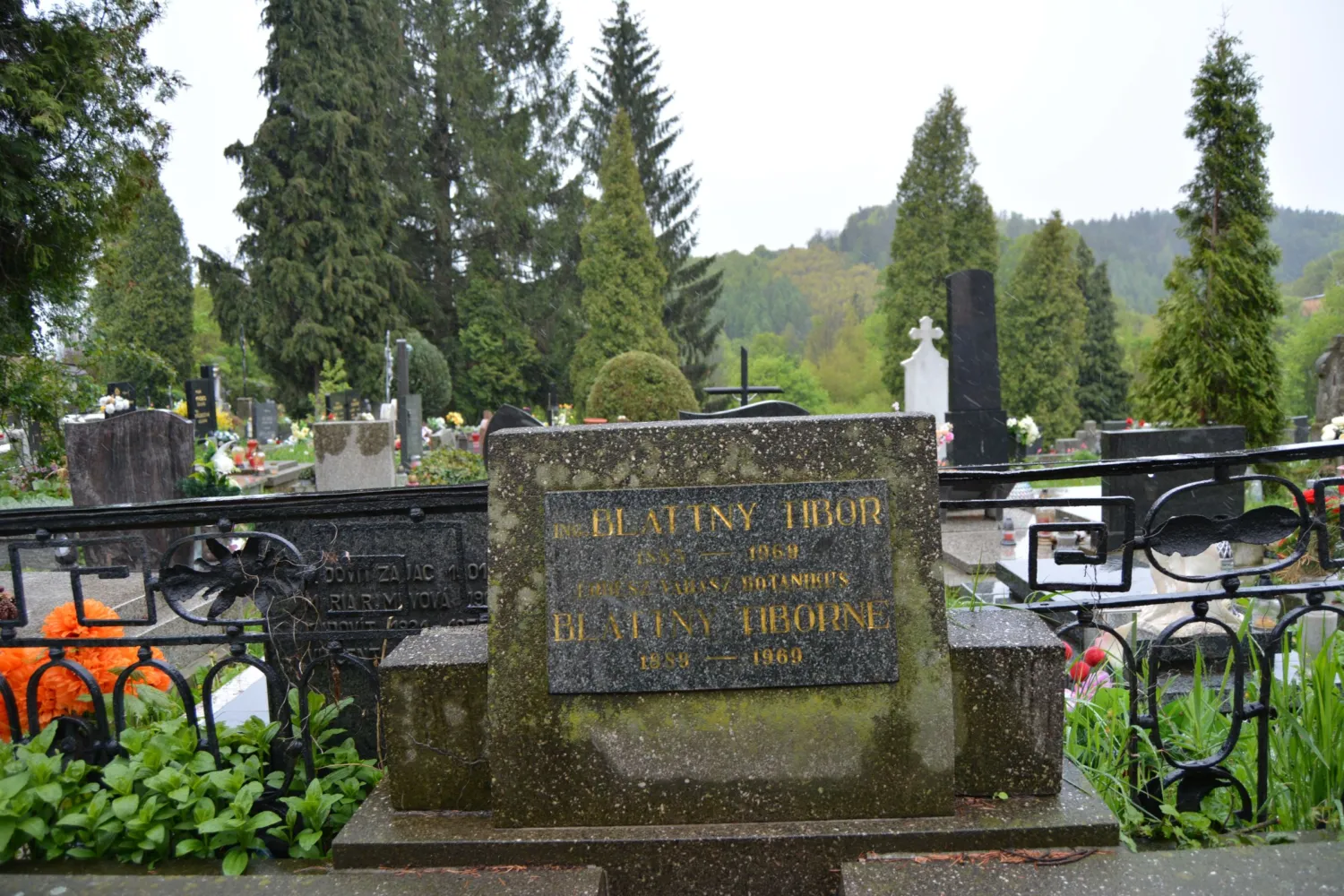 Master file0000064848