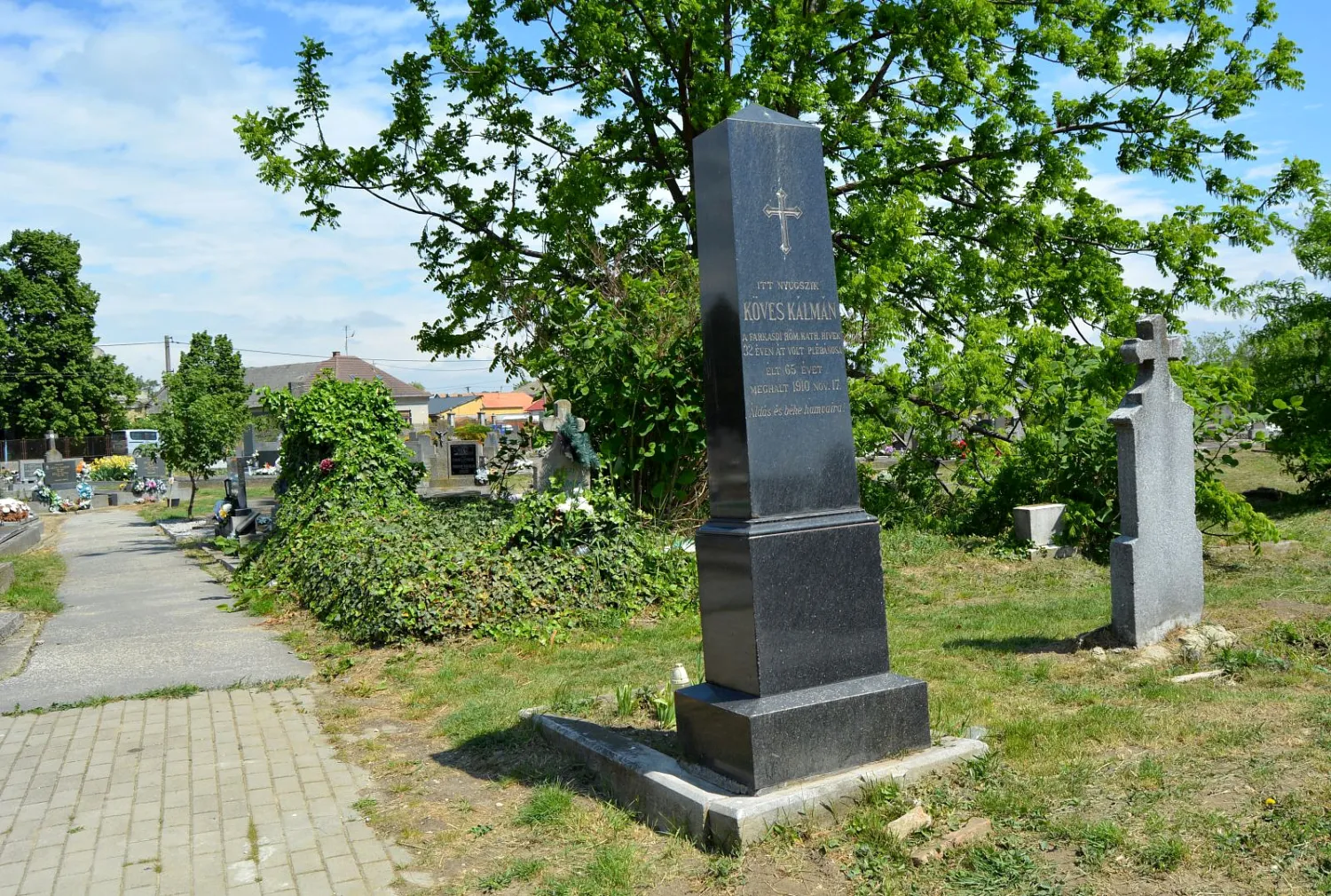 Master file0000062384