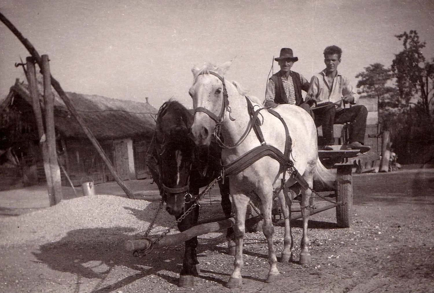 Master file0000055622