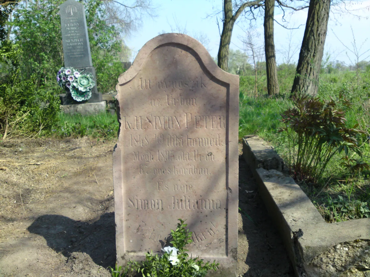 Master file0000068428